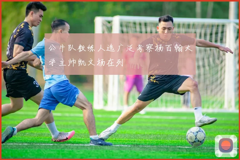 公牛队教练人选广泛考察杨百翰大学主帅凯文杨在列
