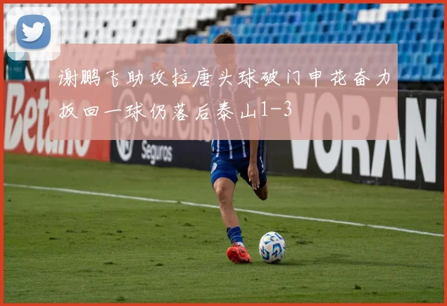 谢鹏飞助攻拉唐头球破门申花奋力扳回一球仍落后泰山1-3