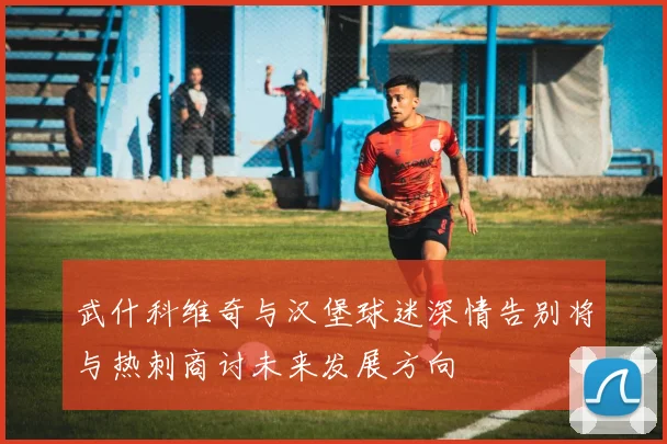 武什科维奇与汉堡球迷深情告别将与热刺商讨未来发展方向